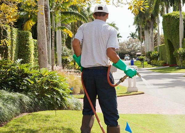 About Zearing IA Pest Control